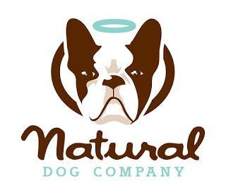 Protecting Your Dog's Paws Naturally