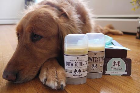 Healing dog paws Natural Dog Company Paw Soother Pawtector Review