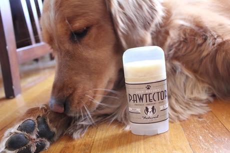 Natural Dog Company Paw Soother Pawtector Review
