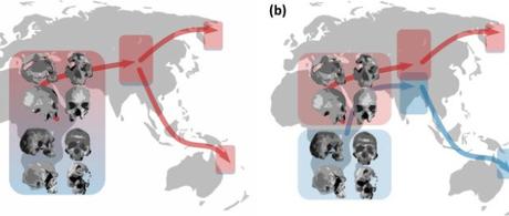 Aboriginal Australians result of earlier migration out of Africa