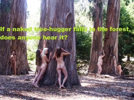 Berkeley tree huggers July 18, 2015
