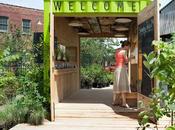 Shipping Container Structures Around World