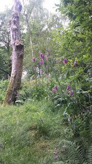 CROESO CYMRU!  SORAIDH, ALBA! TRAVELLING THROUGH WALES, THE LAKE DISTRICT, SOUTHERN SCOTLAND