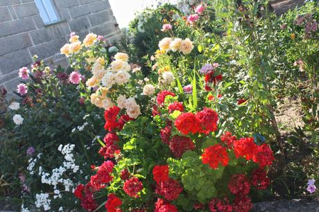 A Portuguese Garden