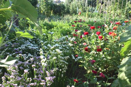 A Portuguese Garden