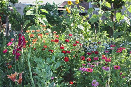 A Portuguese Garden