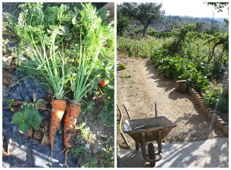 A Portuguese Garden