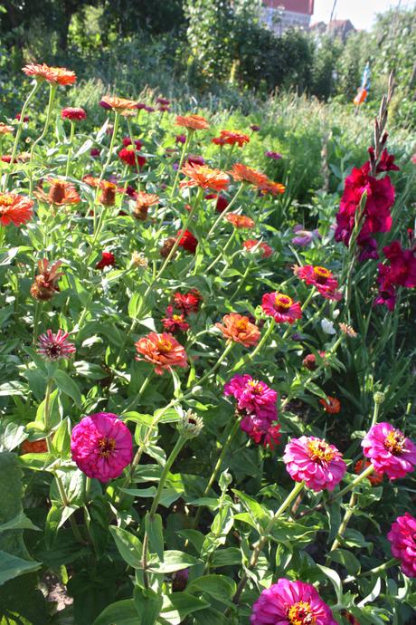 A Portuguese Garden