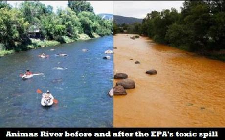 Animas River before and after EPA toxic waste spill