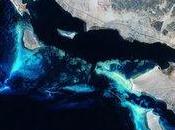 Help Wanted Tracking Biodiversity from Space