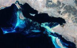 Help wanted on tracking biodiversity from space