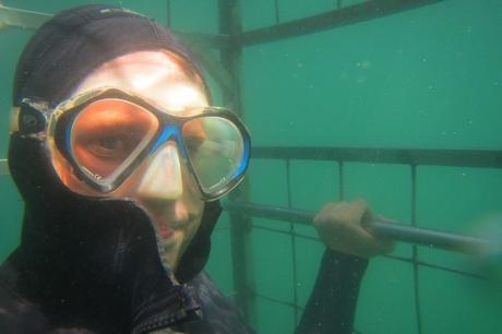 4 Activities You Must Try in Cape Town, South Africa