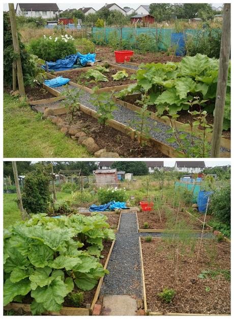 Andrew's parterre paths - 'growourown.blogspot.com' ~ an allotment blog