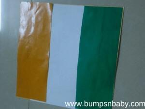 Indian Flag DIY with your Toddler this Independence Day