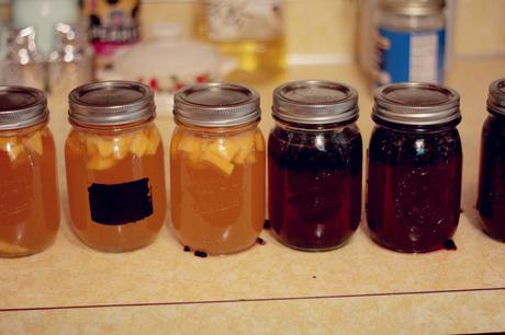 How To Brew (and flavor) Kombucha at Home | www.eccentricowl.com