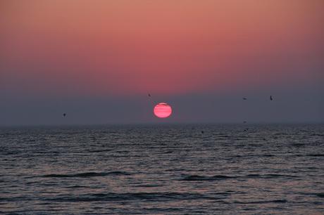 Sunset at Webster Park Beach [Orange You Glad It’s Friday] & [Sky Watch Friday]