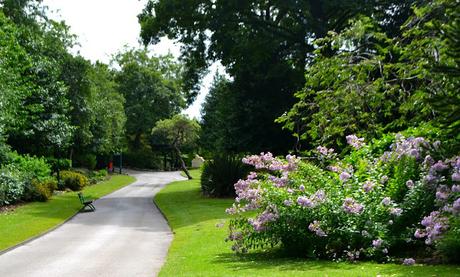 Mowbray Park, Sunderland