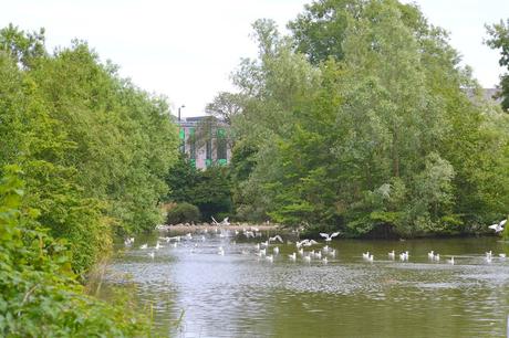 Mowbray Park, Sunderland