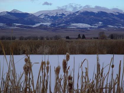 Public lands: Feds finalizing management plan for wildlife refuges in Colorado’s San Luis Valley