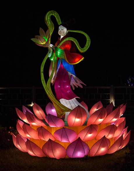 Lotus Girl lantern