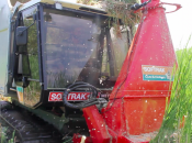 Harvesting Invasive Cattails Restore Marsh Biodiversity