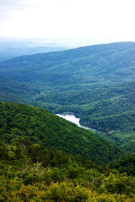 Shenandoah National Park // Cross-Country Road Trip Pt. 3