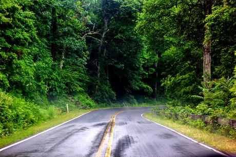 Shenandoah National Park // Cross-Country Road Trip Pt. 3