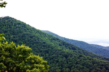 Shenandoah National Park // Cross-Country Road Trip Pt. 3