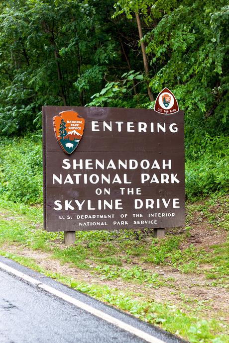 Shenandoah National Park // Cross-Country Road Trip Pt. 3