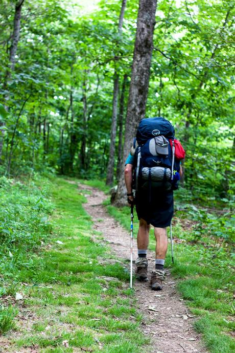 Shenandoah National Park // Cross-Country Road Trip Pt. 3