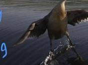 Sunday Surfing 16/8/15