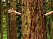 What Ecology? Definition Explanation