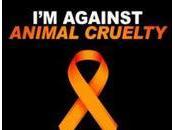 Staggering Amounts Americans Kill Exotic Animals