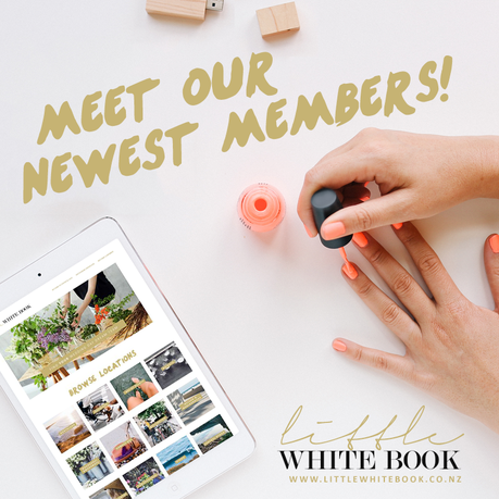 Meet The 12 New Talented Little White Book Members!