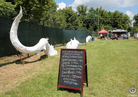 Riverfest Elora 2015