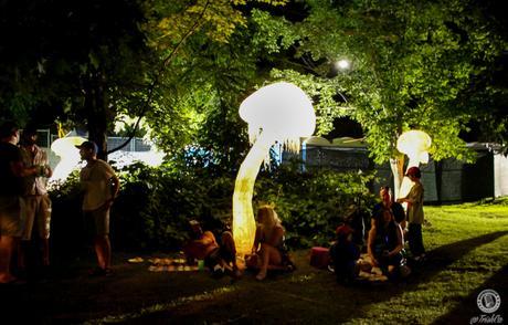 Riverfest Elora 2015