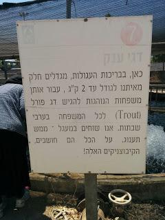 Tiyulim in Eretz Yisrael. Tzafon 2015