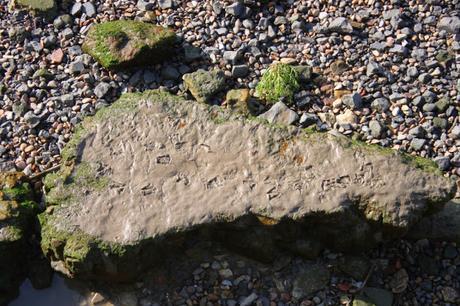 East-West Waterway No.17 Footprints