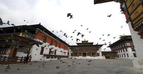 At a minimum price of $200 per person per day, it will be just you and the birds in Bhutan