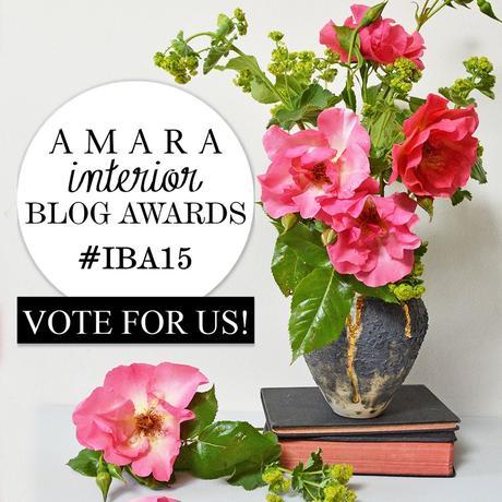 amara-blog-awards-vote-for-miafleur