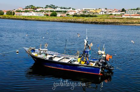 Vila do Conde, Portugal (6)