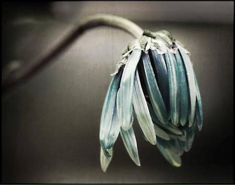 The Pained Life| Part I by Alicia