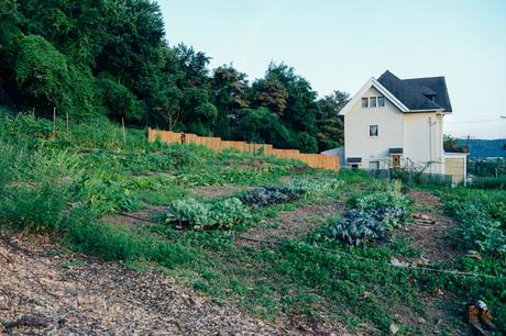 A Mint Themed Dinner on the Farm // www.WithTheGrains.com