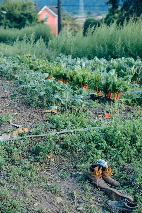 A Mint Themed Dinner on the Farm // www.WithTheGrains.com