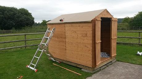 Building the Shed (Part 2)