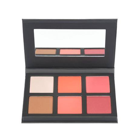 IPSY DEAL ON Contour Palette