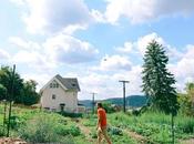 Farm Scenes Roasted Beet, Cucumber, Mint Heirloom Tomato Salad