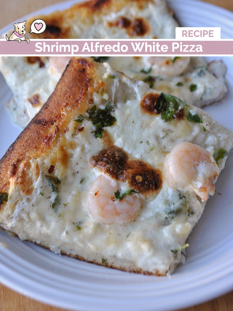 shrimp alfredo white pizza recipe