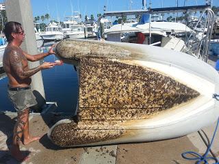 Keeping the Dinghy Clean