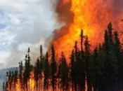 Drought-Fueled Wildfires Burn Million Acres U.S.
